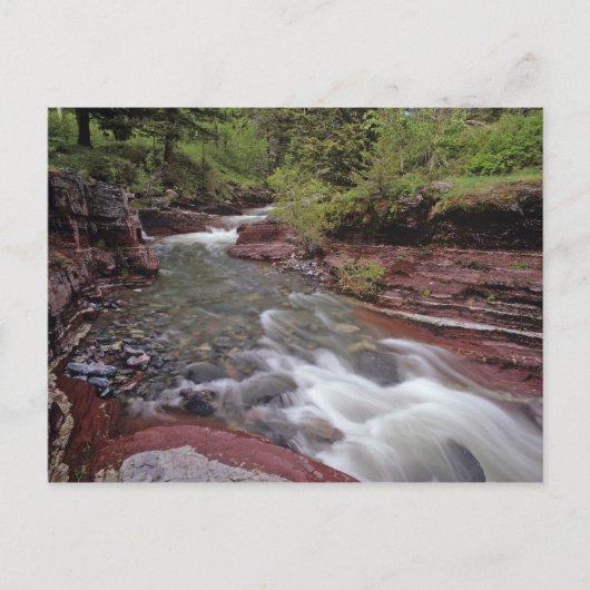 ホースク失ったリークインウォータートンレイクスナショナルパーク ポストカード (正面)