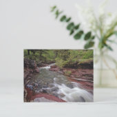 ホースク失ったリークインウォータートンレイクスナショナルパーク ポストカード (スタンド正面)