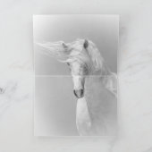 ホースグリーティングカードブラック&ホワイトスタリオンフレンズ サンキューカード (内部)