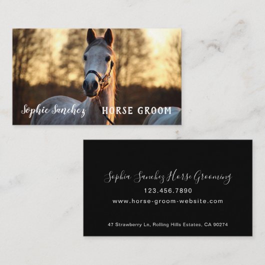 ホースグルームフォトプロフェッショナル 名刺 (正面/裏面)