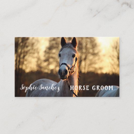 ホースグルームフォトプロフェッショナル 名刺 (正面)