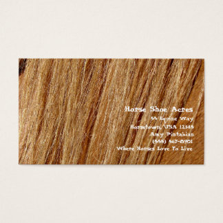 ホースシューエイカーズソレルマネ