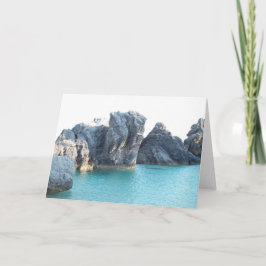 ホースシュービーチバミューダ カード