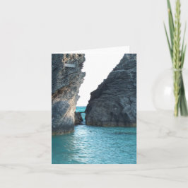 ホースシュービーチバミューダ カード