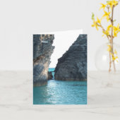 ホースシュービーチバミューダ カード (黄色い花)