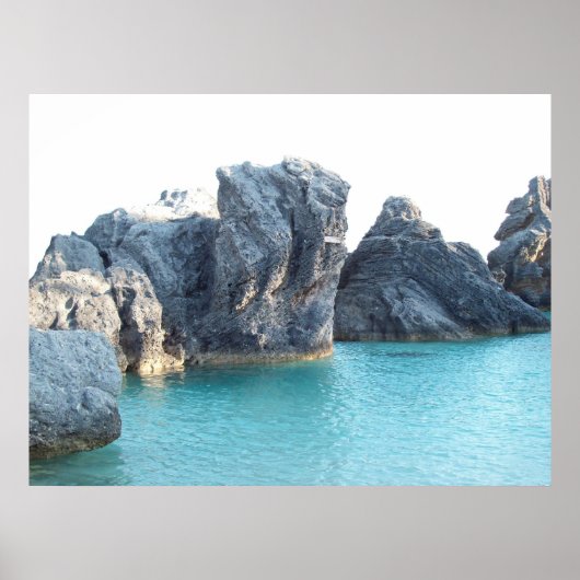 ホースシュービーチバミューダ ポスター (正面)