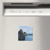 ホースシューベイバミューダ マグネット (インサイチュ (食洗機))