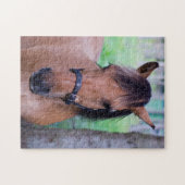 ホースジグソーパズル ジグソーパズル (横)