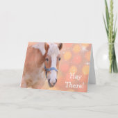 ホースジョークハッピーバースデー カード (正面)