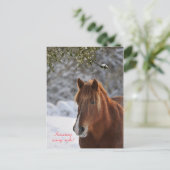 ホースチェコ年賀状 シーズンポストカード (スタンド正面)