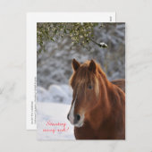 ホースチェコ年賀状 シーズンポストカード (正面/裏面)