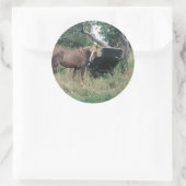 ホースチェックアウトオールド乳母車 ラウンドシール (バッグ)