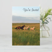 ホースツインズマーレ&フォールズホースベビー招待状 招待状 (スタンド正面)