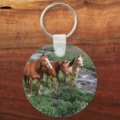 ホーストリオキーチェーン キーホルダー (正面)