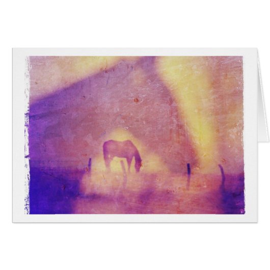 ホースドリームスすべての行事 (正面横)