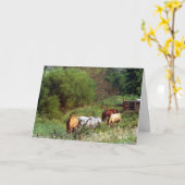 ホースパスチュア誕生日 カード (黄色い花)