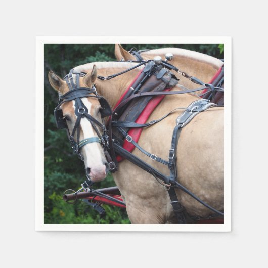 ホースパロミノハーネス スタンダードカクテルナプキン (正面)
