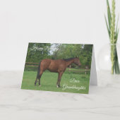 ホースパーソナライズされた孫娘誕生日 カード (正面)