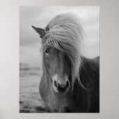 ホースファームハモダンウスキャビンウェスタン ポスター (正面)