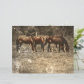 ホースファームヴィンテージカントリー素朴ウェスタン (スタンド正面)