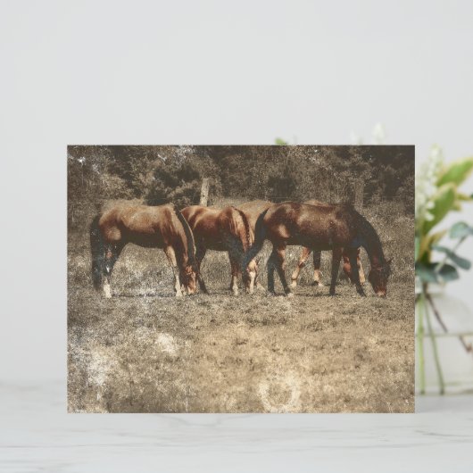 ホースファームヴィンテージカントリー素朴ウェスタン (スタンド正面)