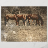 ホースファームヴィンテージカントリー素朴ウェスタン (正面)