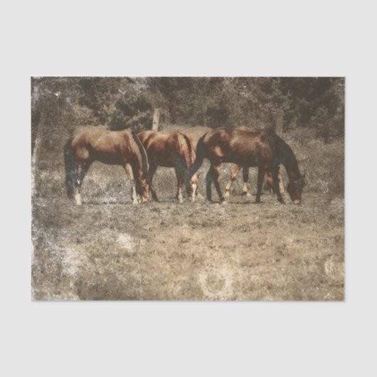 ホースファームヴィンテージカントリー素朴ウェスタン 薄葉紙 (正面)