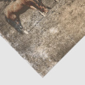 ホースファームヴィンテージカントリー素朴ウェスタン 薄葉紙 (詳細)