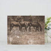 ホースファームヴィンテージカントリー素朴セピアウェスタン (スタンド正面)