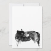 ホースフォールベビーシャワー招待状 招待状 (裏面)