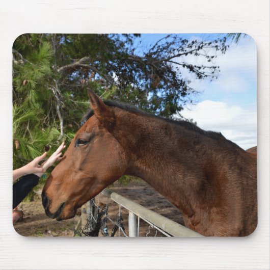 ホースフレンドフォーエバーマウスパッド マウスパッド (正面)