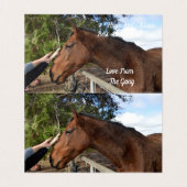 ホースフレンドフォーエバー、誕生日カード (内部フラット)