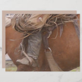 ホースブラウンウエスタンロデオカウボーイ (正面/裏面)