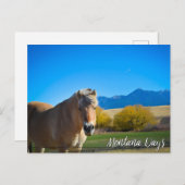 ホースブルースカイとモンタナマウンテン ポストカード (正面/裏面)