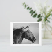 ホースヘッドブラック&ホワイト ポストカード (スタンド正面)