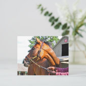 ホースヘブンバーン#47アットサラトガ ポストカード (スタンド正面)