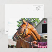 ホースヘブンバーン#47アットサラトガ ポストカード (正面/裏面)