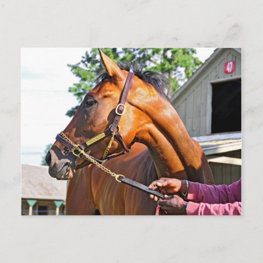 ホースヘブンバーン#47アットサラトガ ポストカード (正面)