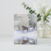 ホースホリデーポストカード シーズンポストカード (スタンド正面)