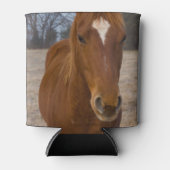 ホースポーズクーラーボックス 缶クーラー (正面)