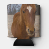 ホースポーズクーラーボックス 缶クーラー (裏面)