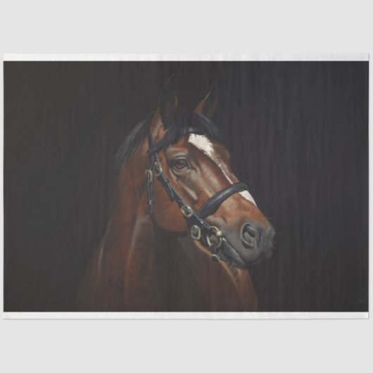 ホースポートレートエフェメラデクページヴィンテージ 薄葉紙 (正面)