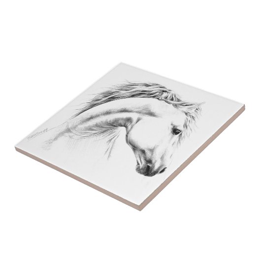 ホースポートレートペンシルスケッチエクエストリアンアート タイル (側面)