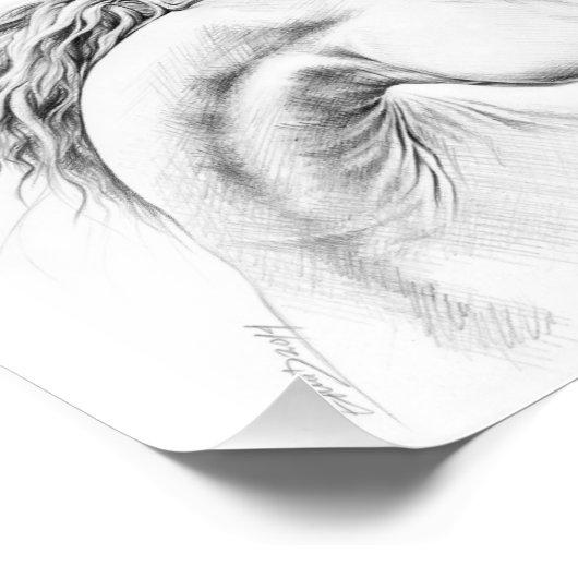 ホースポートレートペンシルスケッチエクエストリアンアート フォトプリント (角)