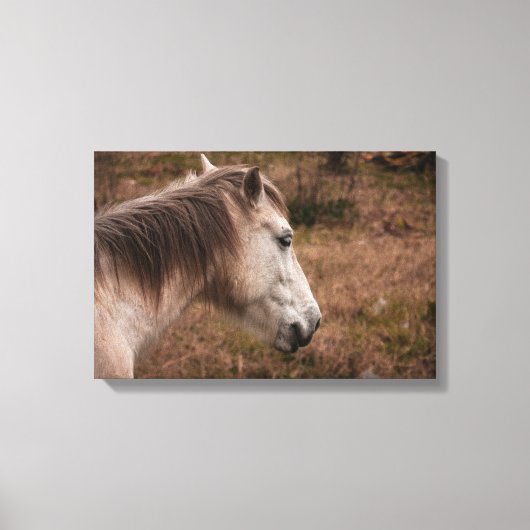 ホースポートレート キャンバスプリント (正面)