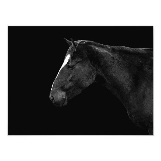ホースポートレート フォトプリント            (正面)