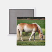 ホースポートレート マグネット (正面/裏面)