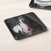 ホースポートレートII コースター (左側)