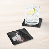 ホースポートレートII スクエアペーパーコースター (インサイチュ)