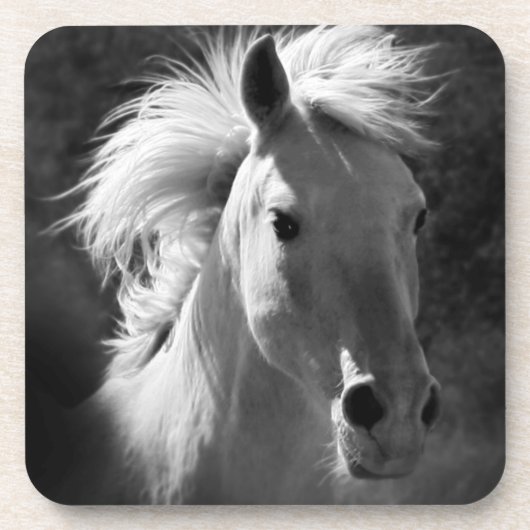 ホースポートレートV コースター (正面)